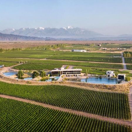 Casa De Uco Vineyards And Wine Resort Los Árboles Kültér fotó