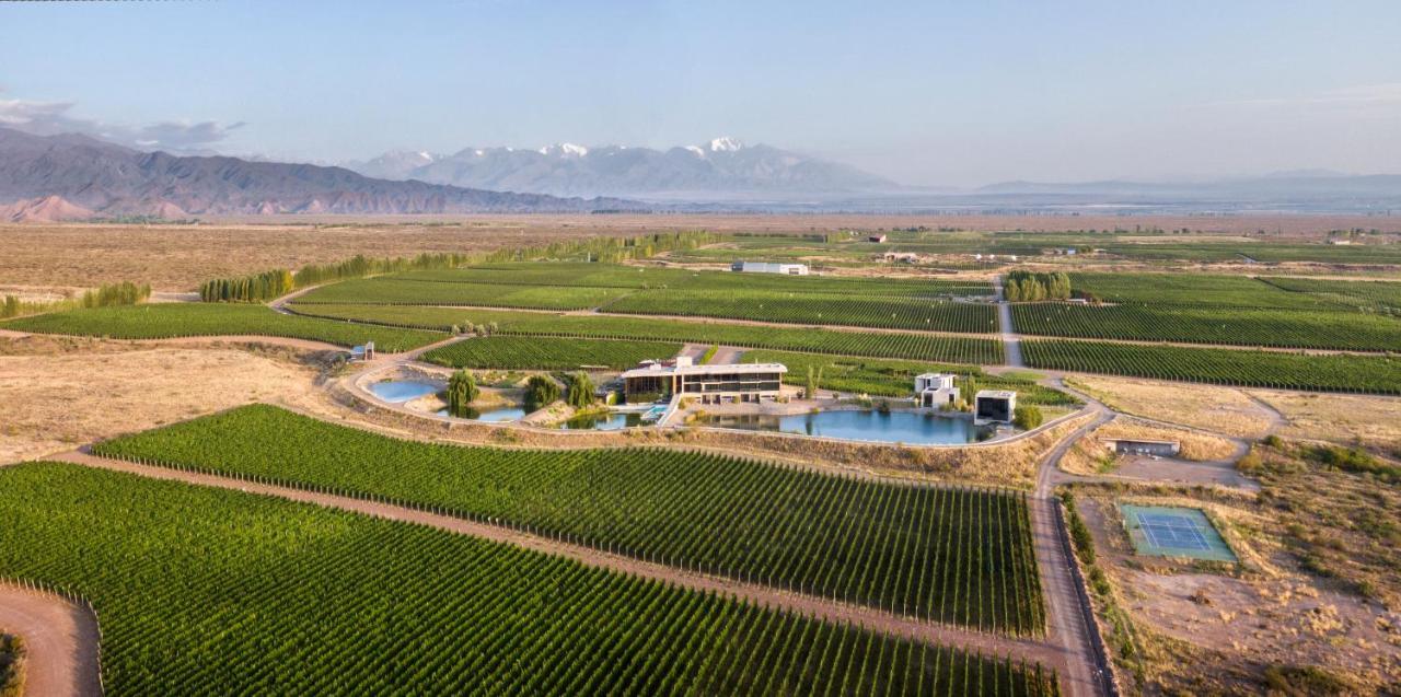 Casa De Uco Vineyards And Wine Resort Los Árboles Kültér fotó