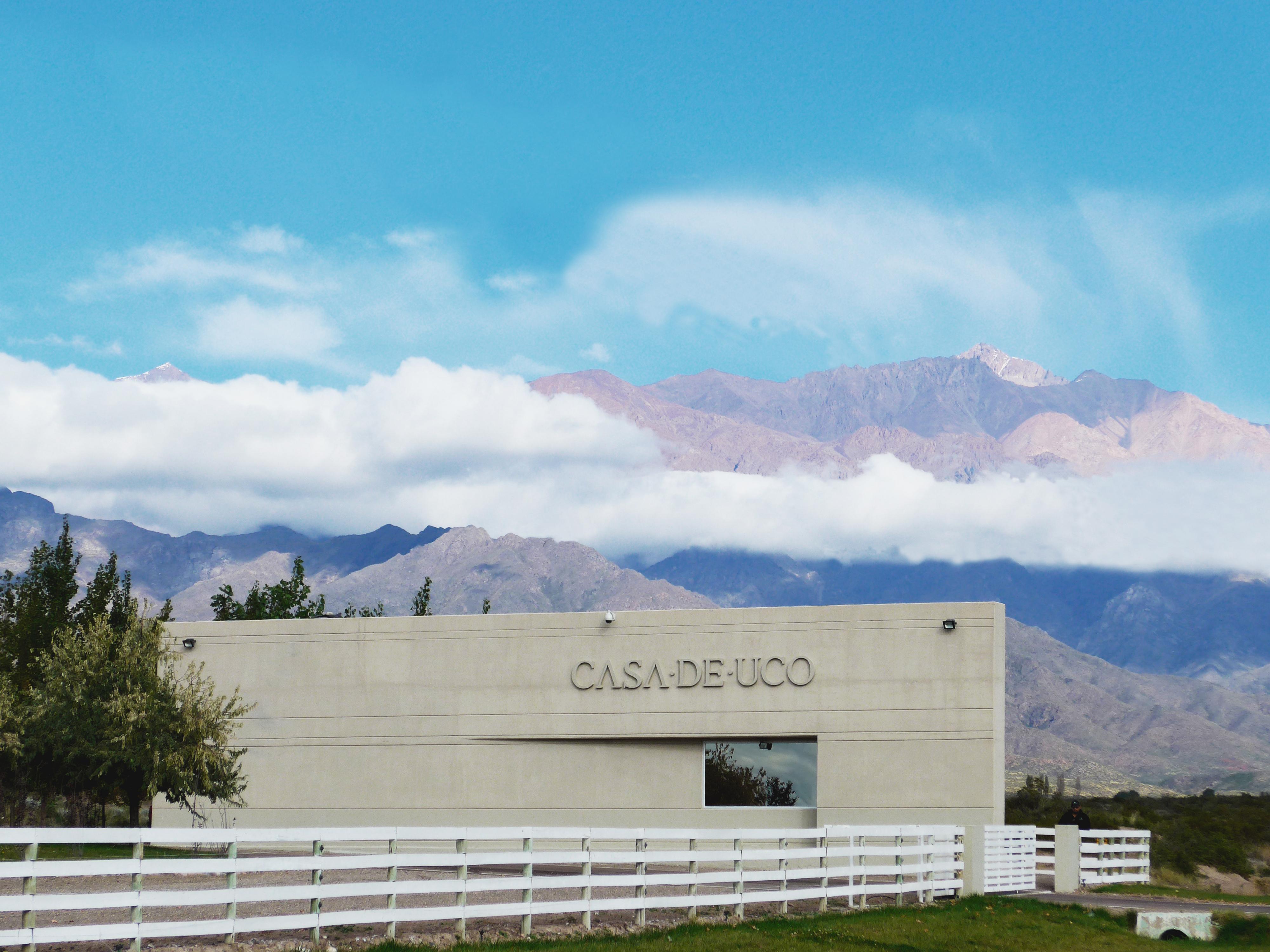 Casa De Uco Vineyards And Wine Resort Los Árboles Kültér fotó