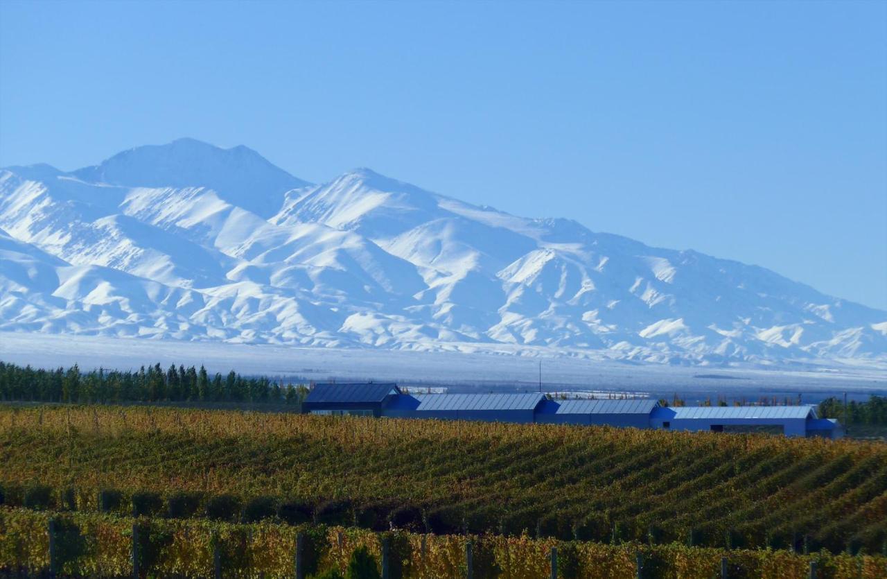 Casa De Uco Vineyards And Wine Resort Los Árboles Kültér fotó